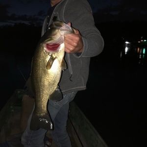 Meet your Posher, Brady